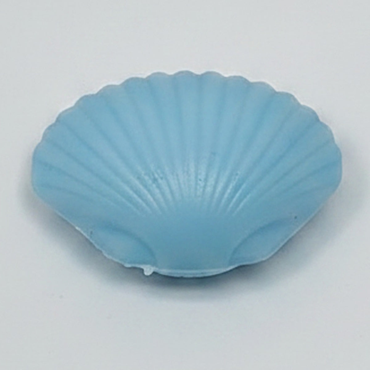 Seashell Fidget Squeeze Squishy Toy - Colored – novelty & toys