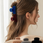 Fuzzy Bear Claw Hair Clip Set Charcoal