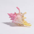 Shell Claw Hair Clip - Pink & Gold