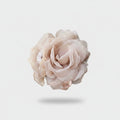 Blush Rose Flower Hair Claw Clip