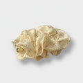 Floral Lace Hair Claw Clip Cream