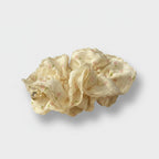 Floral Lace Hair Claw Clip Cream