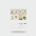 Vintage Ephemera Stationery Set With Lace Frames And Ribbons