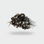 Black And White Tortoiseshell Hair Claw Clip