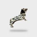 Dalmatian Spotted Hair Claw Clip