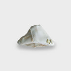 Cream Textured Hair Claw With Gold Butterfly Charm