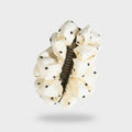 Polka Dot Pearl Hair Claw Clip