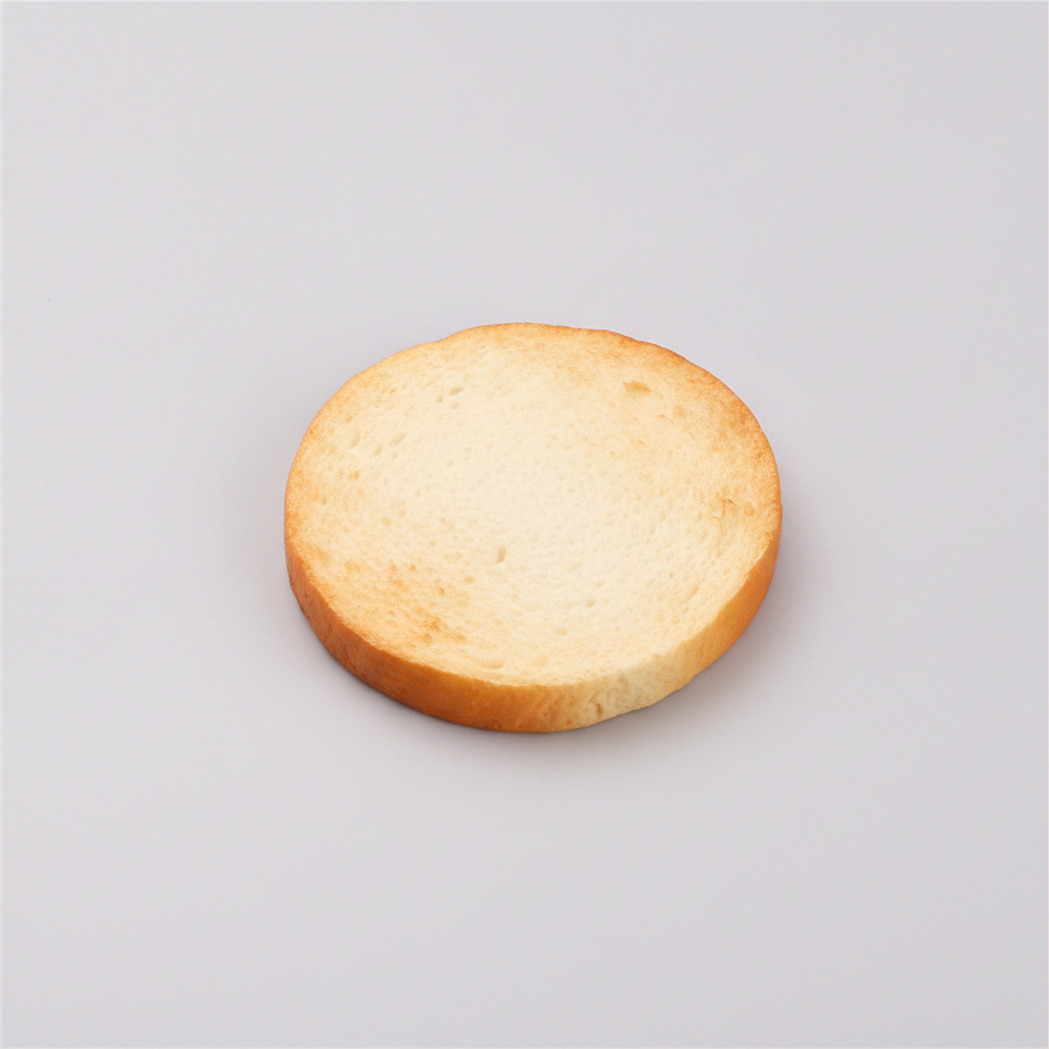 Squishy Bread Collection - Toast Slice