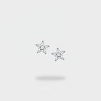 Star Rhinestone Crystal Stud Earrings