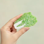 Cabbage Patch Hair Claw - Light Green