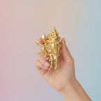 Shell Claw Hair Clip - Bright Yellow