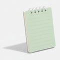 Spiral Lined Mini Notepad - Mint Green