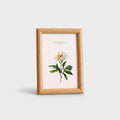 Flowers Says Botanical Print Frame Natural Wood