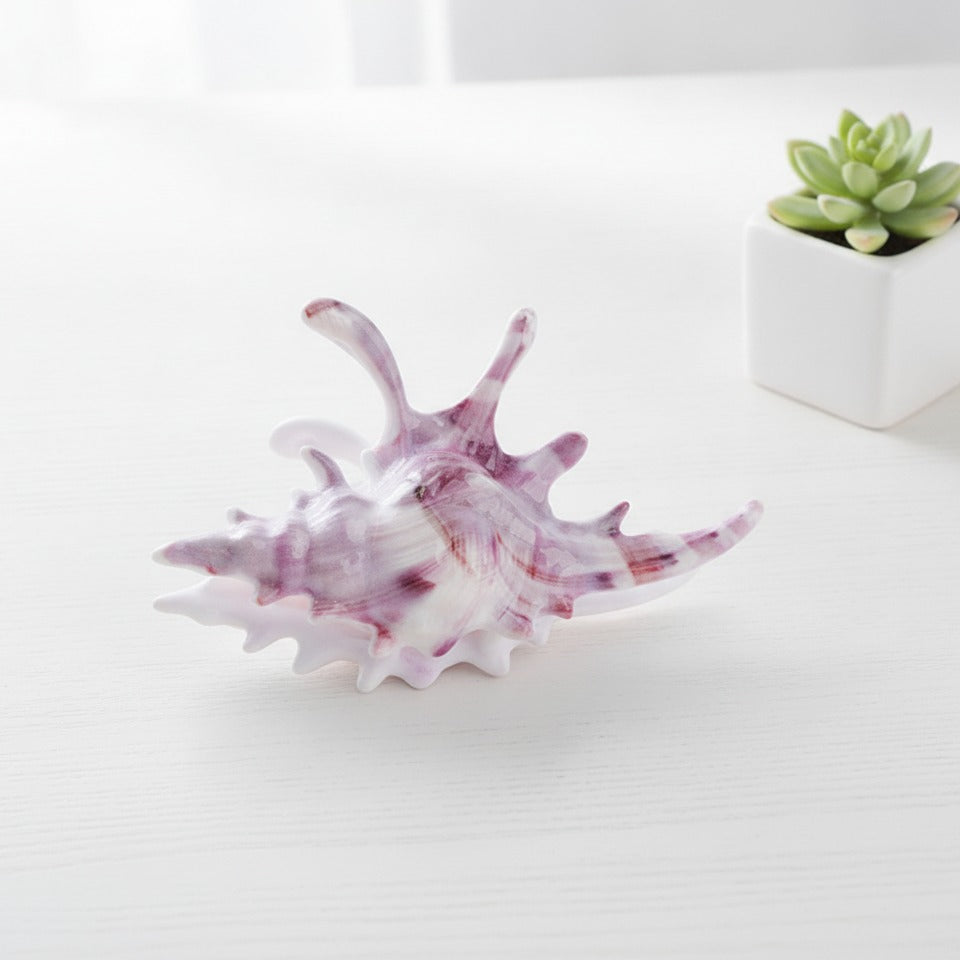 Cosmic Shell Hair Claw - Starlight