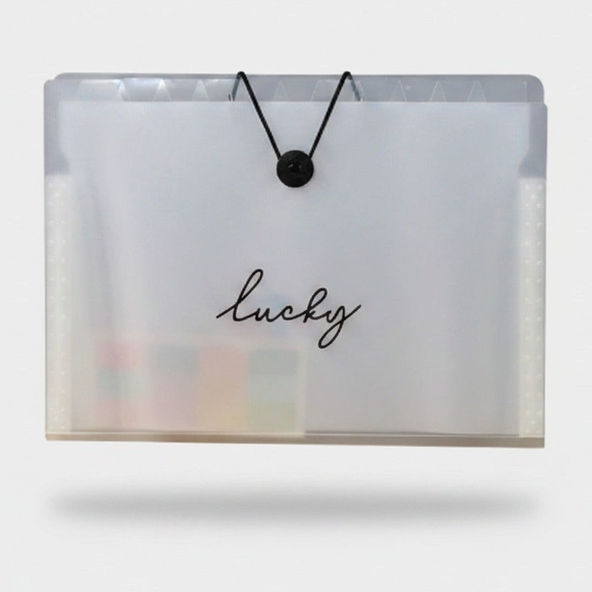 Translucent Accordion File Folder With String Closure – stationery (view 1)