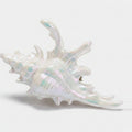 Shell Claw Hair Clip - Hot Pink