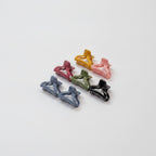 Mini Claw Hair Clips Set - Type 2