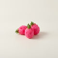 Cute Miniature Dragon Fruit Novelty Toys – novelty & toys (view 1)