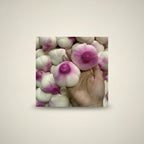Cute Swirl Flower Shaped Buns – novelty & toys (view 1)