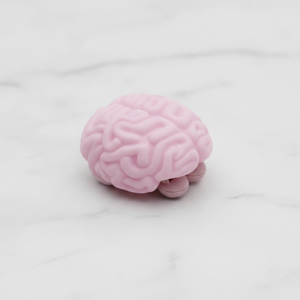 Pink Brain Squishy Toy