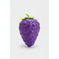 Purple Grape TPR Squishy Stress Relief Fidget Toy
