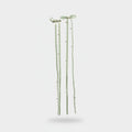 Sage Green Pearl Beaded Ribbon Hair Clips