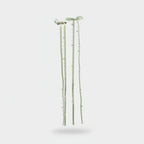 Sage Green Pearl Beaded Ribbon Hair Clips
