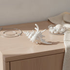 Novelty Decorative Seashell Figurine – novelty & toys (view 3)
