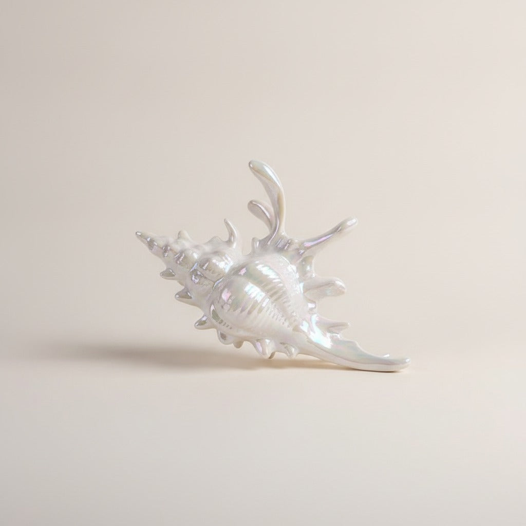 Novelty Decorative Seashell Figurine – novelty & toys (view 1)