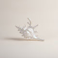 Novelty Decorative Seashell Figurine – novelty & toys (view 1)