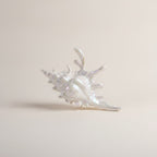 Novelty Decorative Seashell Figurine – novelty & toys (view 1)