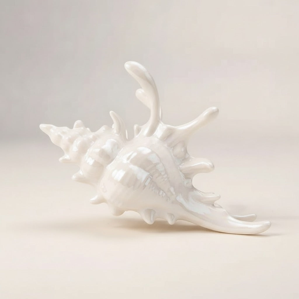 Novelty Decorative Seashell Figurine – novelty & toys (view 2)