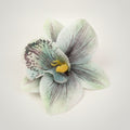 Elegant Artificial Orchid Flower Hair Accessory – hair accessories (view 1)