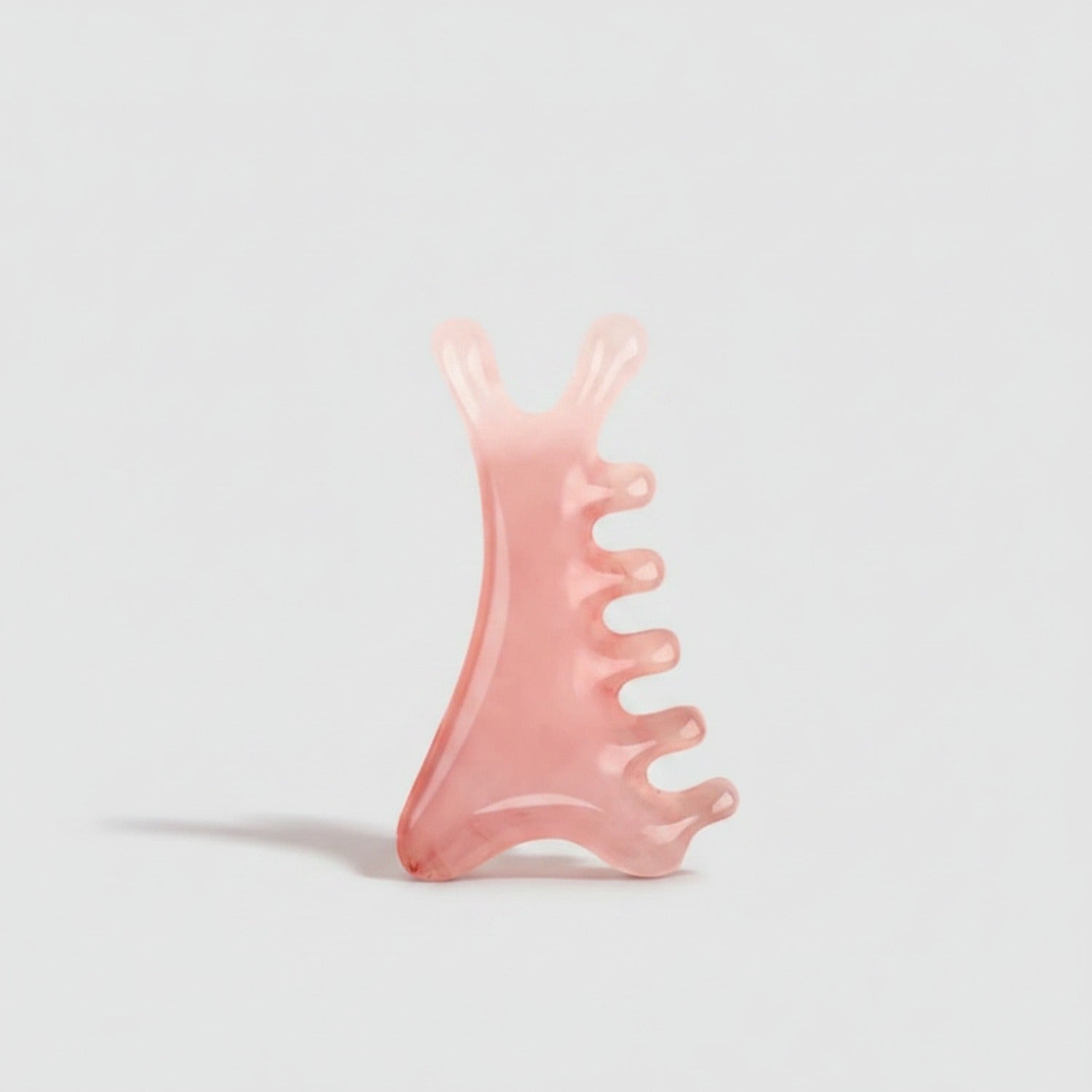 Pink Claw Hair Clips Set