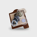 Spiral Scrunchie Set With Mirror Case - 5 Pack