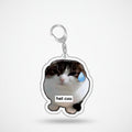 Pepe Frog Shooting Zombie Acrylic Keychain Charm - Crying Cat