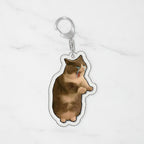 Pepe Frog Shooting Zombie Acrylic Keychain Charm - Crying Cat #2 – novelty & toys (view 2)