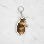 Pepe Frog Shooting Zombie Acrylic Keychain Charm - Crying Cat #2