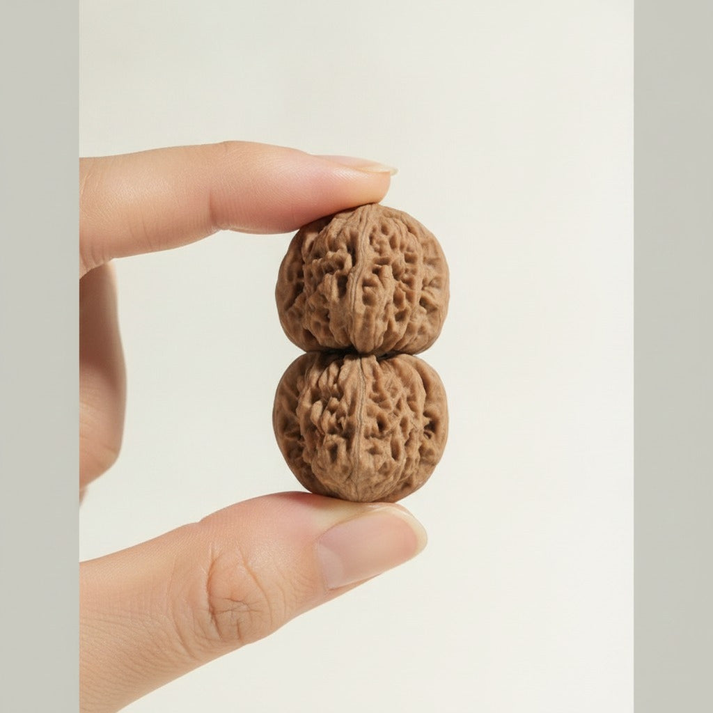 Natural Hand Play Walnuts Pair – novelty & toys (view 7)