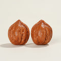 Polished Walnut Pair – novelty & toys (view 1)