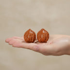 Polished Walnut Pair – novelty & toys (view 3)