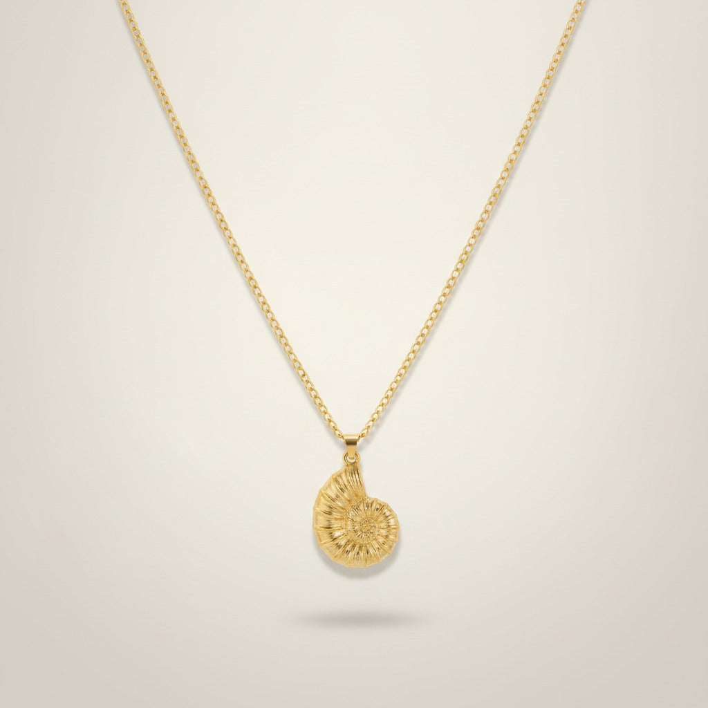 Elegant Nautilus Shell Pendant Necklace – jewelry (view 1)