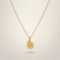 Elegant Nautilus Shell Pendant Necklace – jewelry (view 1)