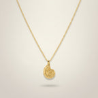 Elegant Nautilus Shell Pendant Necklace – jewelry (view 1)