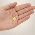 Elegant Nautilus Shell Pendant Necklace – jewelry (view 5)