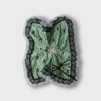 Green Plaid Lace Scrunchie Set With Bow