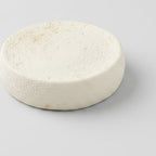 Oversized Toast Squishy - White