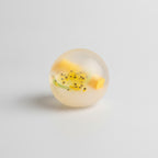 Fruit Smoothie Squishy Ball - Passion Fruit