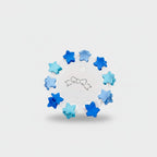 Blue Flower Hair Clips Set Blue Stars
