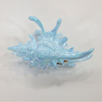 Shell Claw Hair Clip - Sky Blue